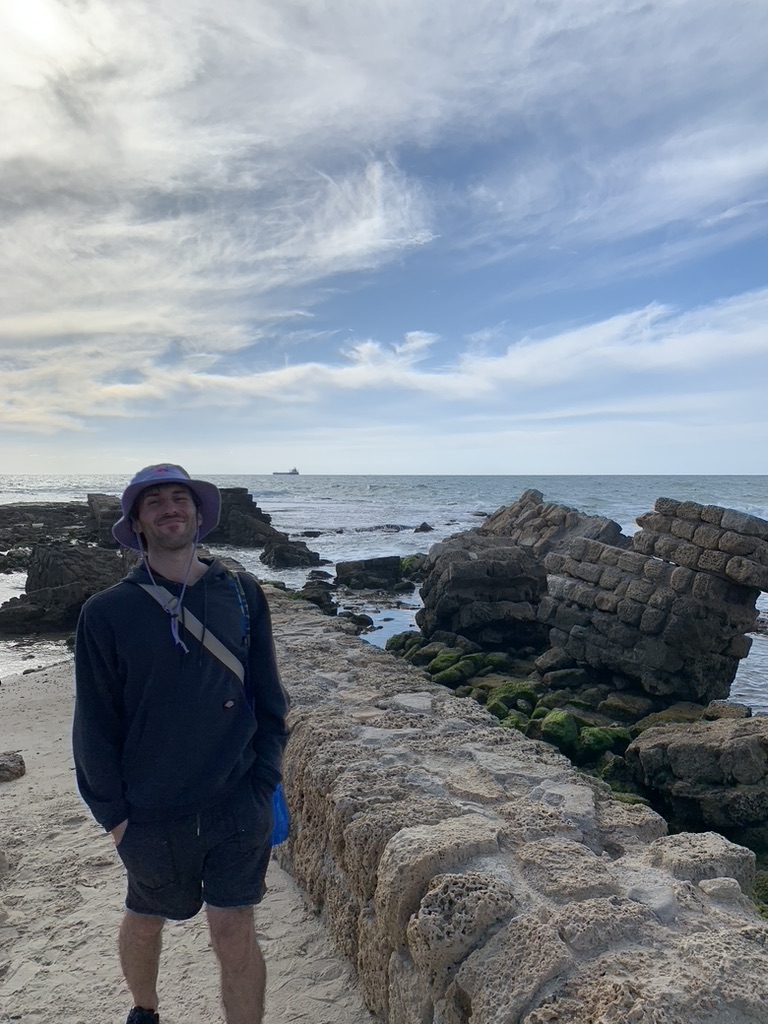 Лев Арцишевский cемейное древо